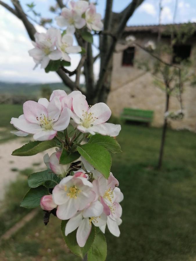 B&B COLdiFIORE Penna in Teverina Exterior foto