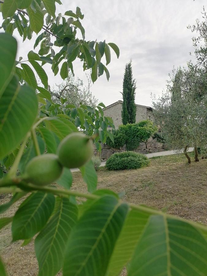 B&B COLdiFIORE Penna in Teverina Exterior foto